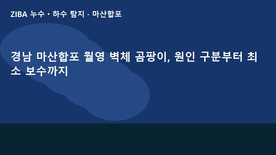 경남 마산합포 월영 벽체 곰팡이, 원인 구분부터 최소 보수까지