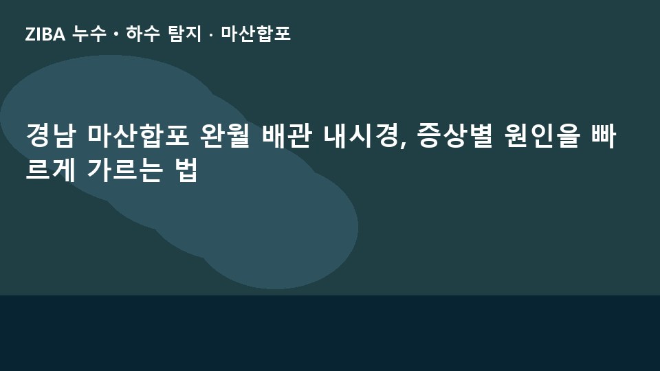 경남 마산합포 완월 배관 내시경, 증상별 원인을 빠르게 가르는 법
