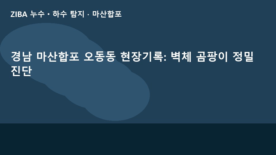 경남 마산합포 오동동 현장기록: 벽체 곰팡이 정밀 진단