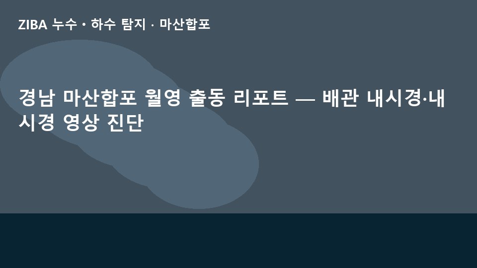 경남 마산합포 월영 출동 리포트 — 배관 내시경·내시경 영상 진단